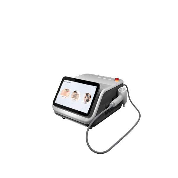 Q-switched Nd:YAG  Laser Tattoo Removal